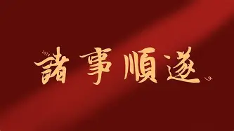  迈阿密热火队总冠军 